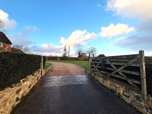 Photo 7- click for photo gallery